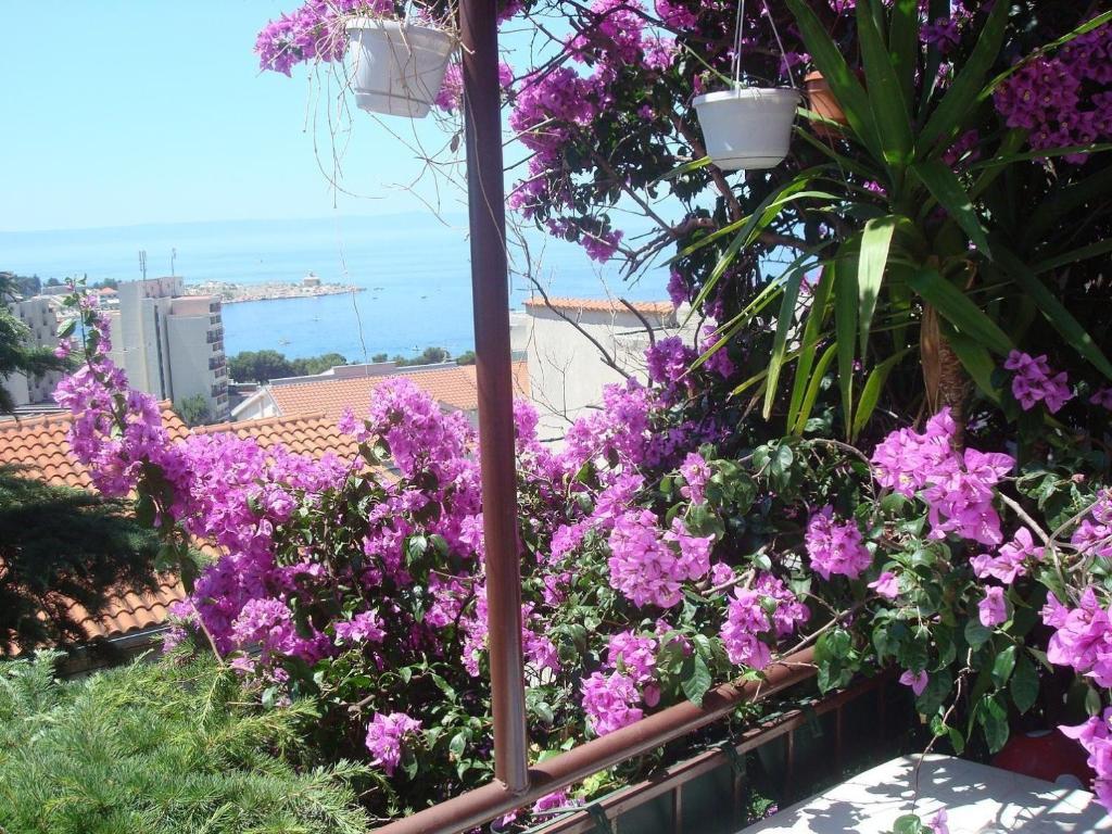 Apartments Dobrinic Makarska Buitenkant foto
